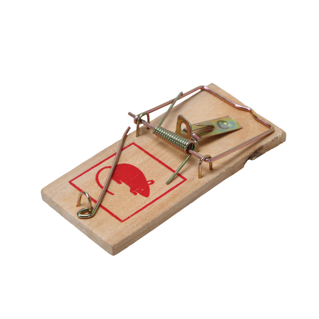 EAN 4012093903409 LOT DE 2 TAPETTES ATTRAPE SOURIS EN BOIS - Matériel Agricole Tapette A Rat EAN 4012093903409 LOT DE 2 TAPETTES ATTRAPE SOURIS EN BOIS - Matériel Agricole Tapette A Rat